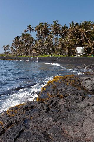 055 Big Island, Punalu'u  Black Sand Beach.jpg